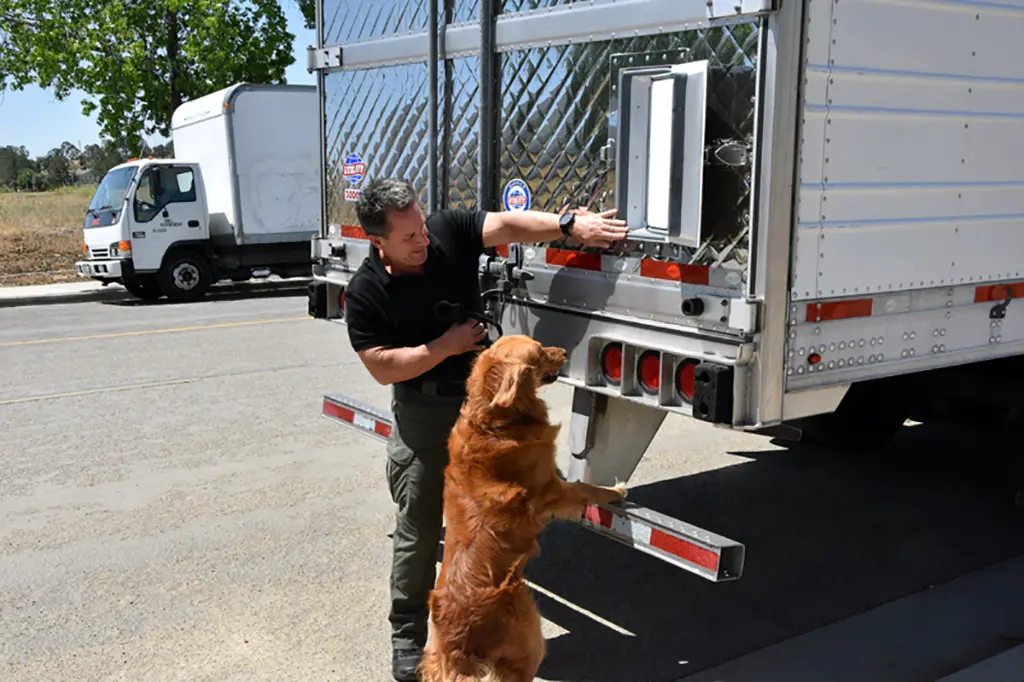 Bomb dog searching semi truck