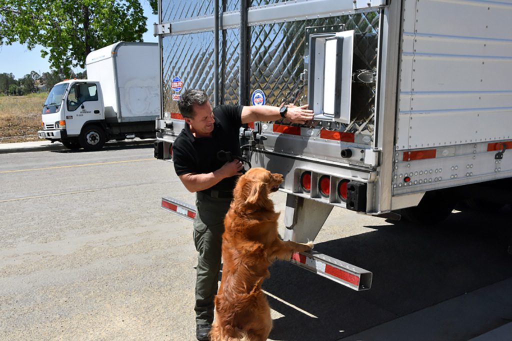 Bomb dog Buster searching semi trailer