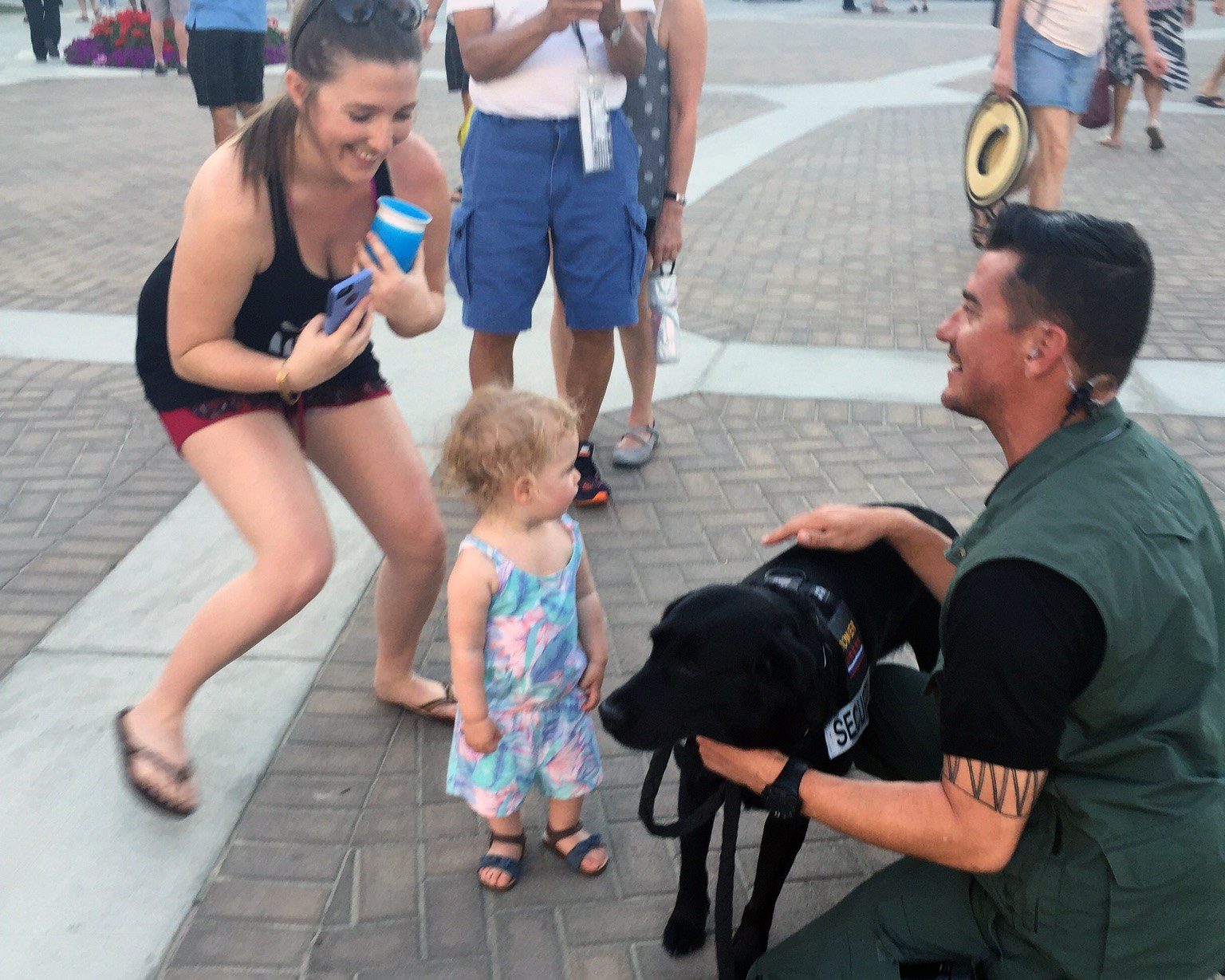 Person petting bomb dog